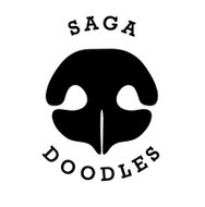 Saga Doodles